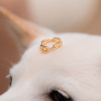 Wabi Ring 2.0 - 18K Gold