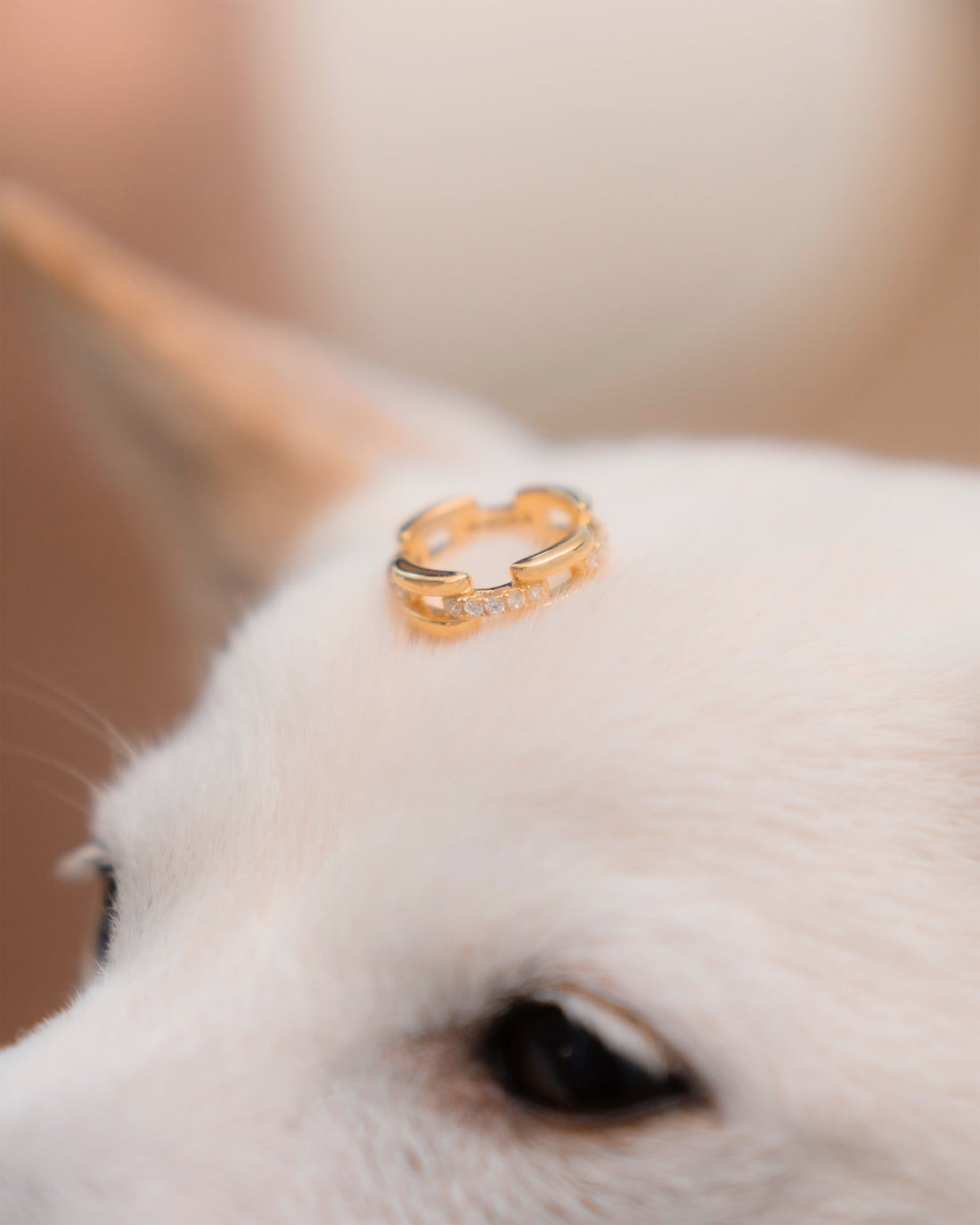 Wabi Ring 2.0 - 18K Gold